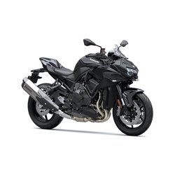 Kawasaki Z H2 Performance