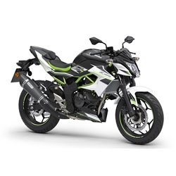 Kawasaki Z125 Performance 