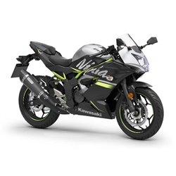 Kawasaki Ninja 125 Performance